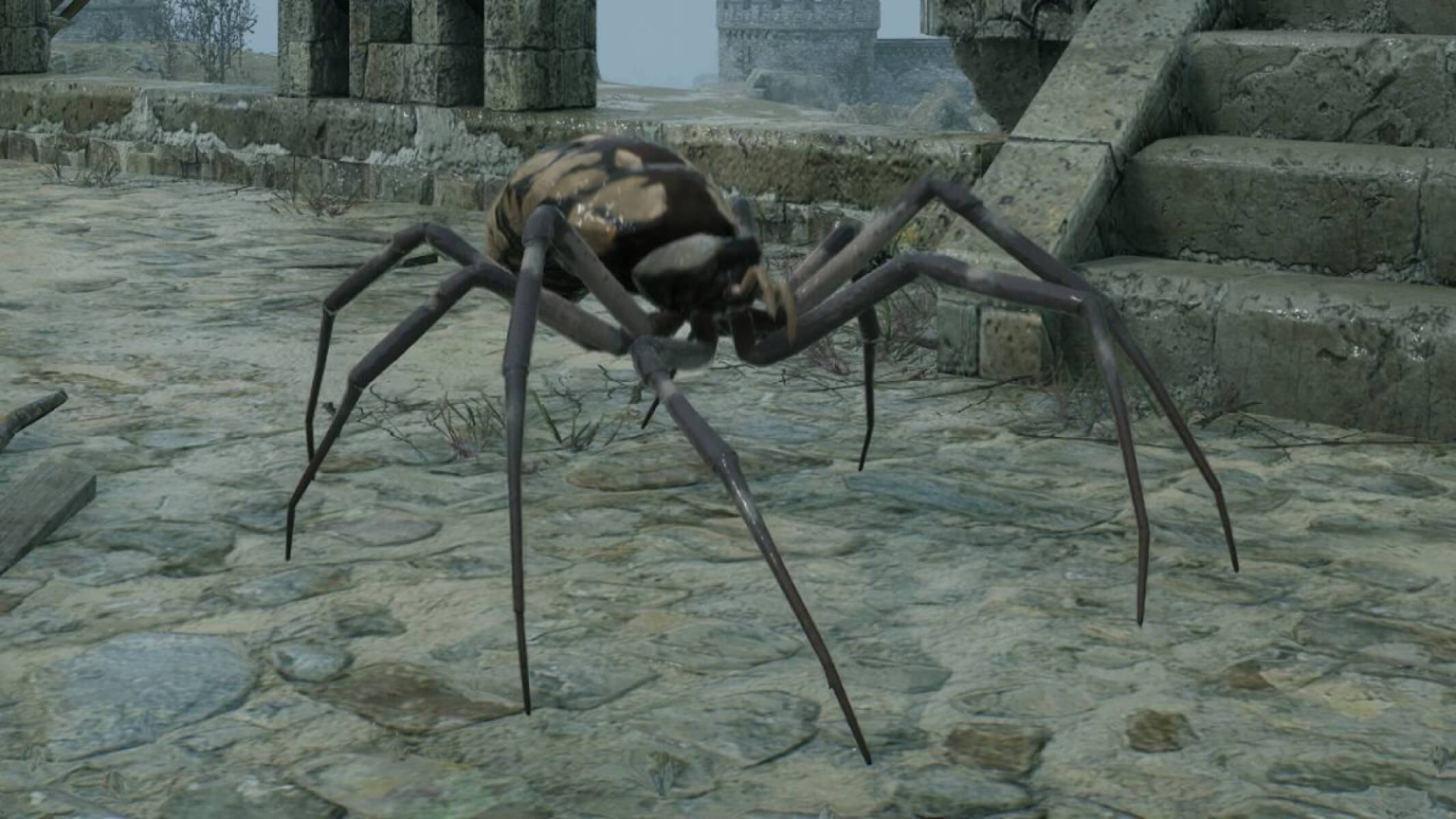 Worker Spider Morph in Throne &amp; Liberty